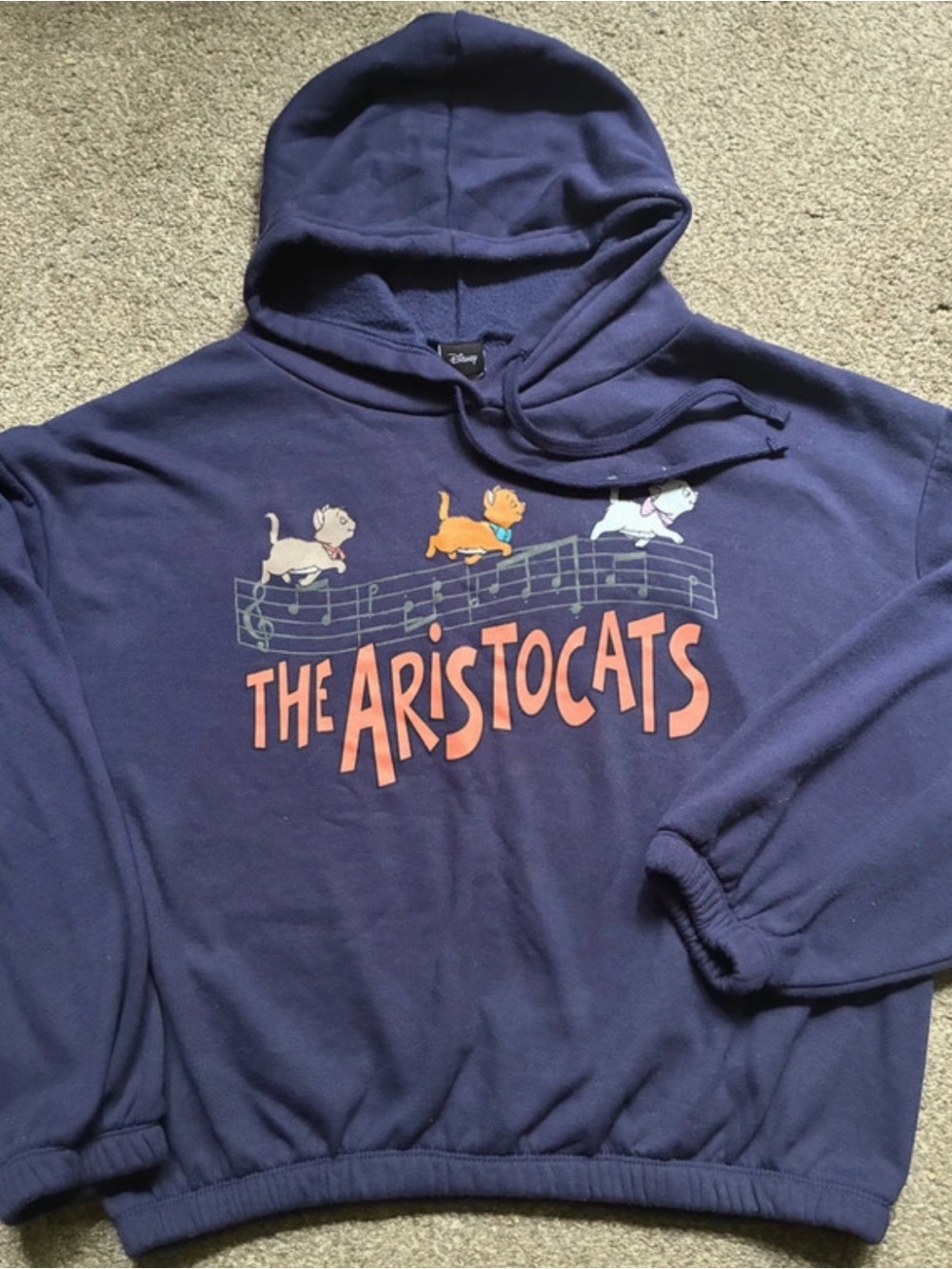 The Aristocats Sweatshirt (XXG)